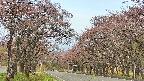 takano2-20250502060030.jpg