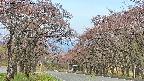 takano2-20250502061029.jpg