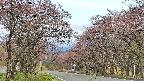 takano2-20250502063030.jpg