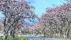 takano2-20250502065028.jpg