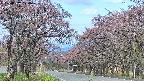 takano2-20250502070029.jpg