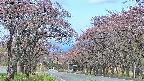 takano2-20250502071030.jpg