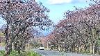 takano2-20250502073031.jpg