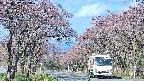 takano2-20250502075029.jpg