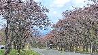 takano2-20250502080031.jpg