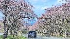 takano2-20250502081030.jpg