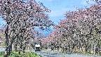 takano2-20250502082030.jpg