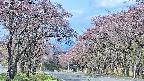 takano2-20250502083031.jpg