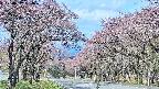 takano2-20250502084030.jpg