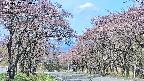 takano2-20250502090031.jpg