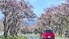 takano2-20250502091030.jpg