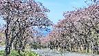 takano2-20250502093033.jpg