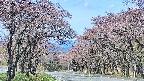 takano2-20250502094031.jpg