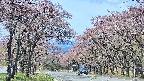 takano2-20250502095029.jpg
