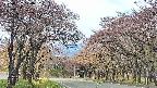 takano2-20250502100031.jpg