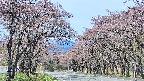takano2-20250502101031.jpg