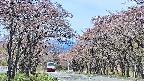 takano2-20250502102031.jpg