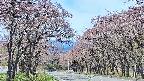 takano2-20250502103031.jpg