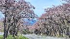 takano2-20250502104031.jpg