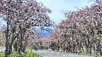 takano2-20250502105030.jpg