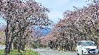 takano2-20250502110030.jpg