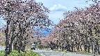 takano2-20250502111031.jpg