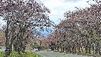takano2-20250502112031.jpg