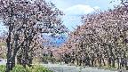 takano2-20250502113030.jpg