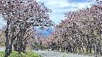 takano2-20250502114031.jpg