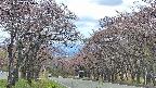 takano2-20250502115031.jpg