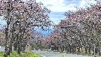 takano2-20250502120030.jpg