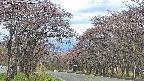 takano2-20250502121030.jpg