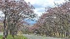 takano2-20250502122031.jpg