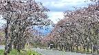 takano2-20250502123030.jpg