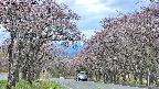 takano2-20250502124030.jpg