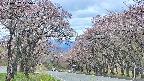 takano2-20250502125031.jpg