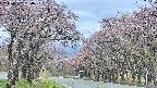 takano2-20250502130032.jpg