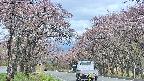 takano2-20250502131032.jpg