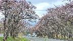 takano2-20250502132031.jpg
