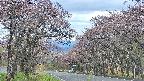takano2-20250502134030.jpg