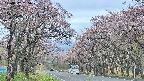 takano2-20250502135030.jpg