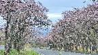 takano2-20250502140032.jpg