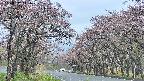 takano2-20250502141030.jpg