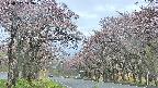 takano2-20250502142030.jpg
