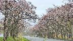 takano2-20250502143031.jpg