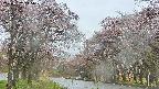 takano2-20250502145029.jpg