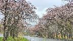 takano2-20250502150029.jpg