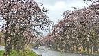 takano2-20250502151029.jpg