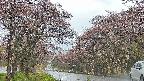 takano2-20250502154030.jpg