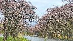 takano2-20250502155031.jpg